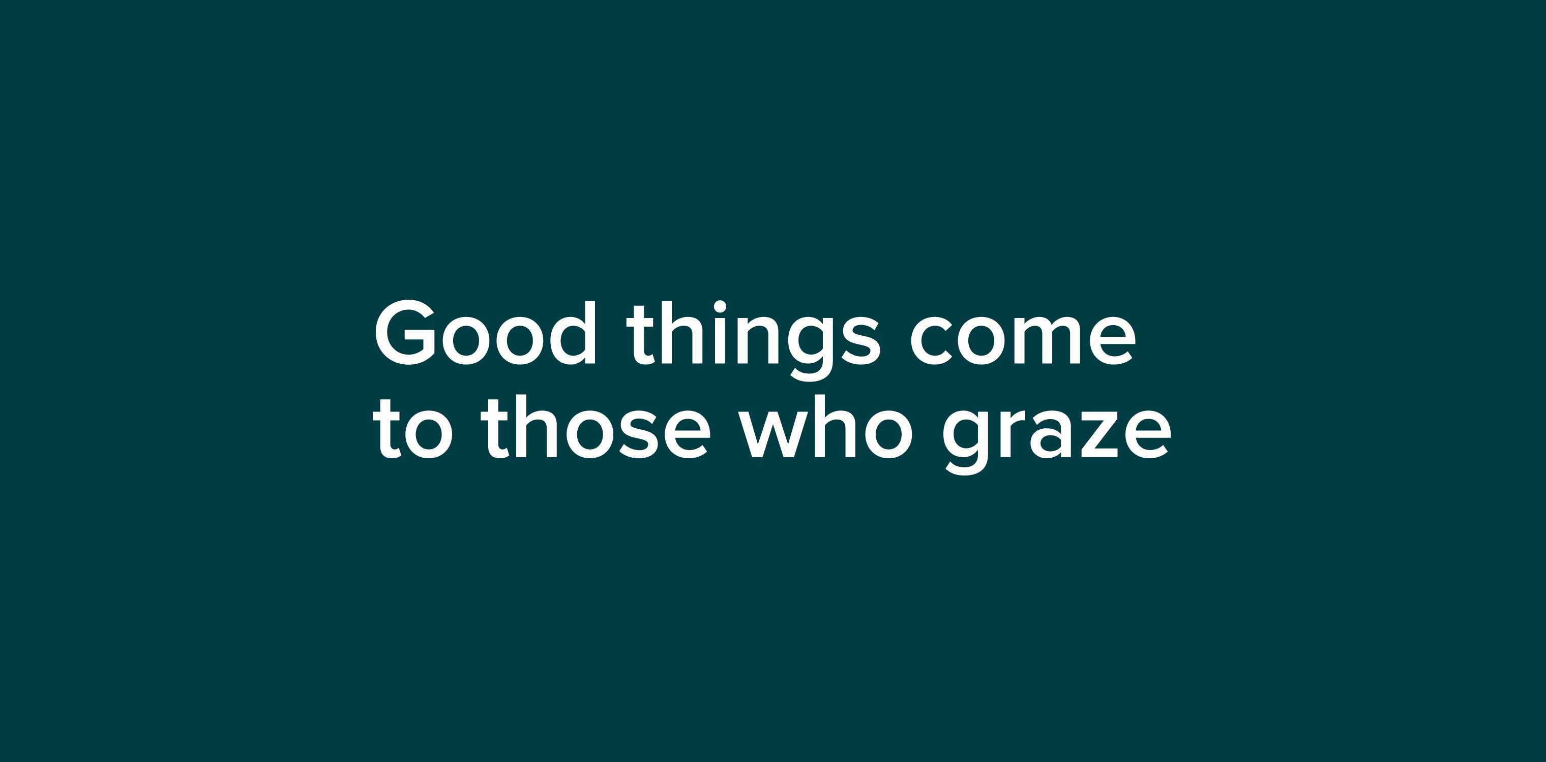 White 'Good things come to those who graze' on a teal background to reinforce the Grazy brand promise