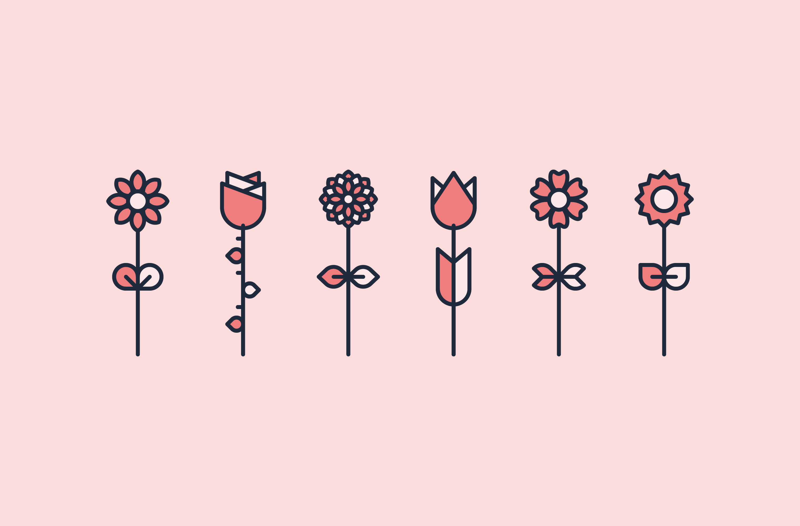 A row of six Gilly's Lilies flower illustrations on a blush background