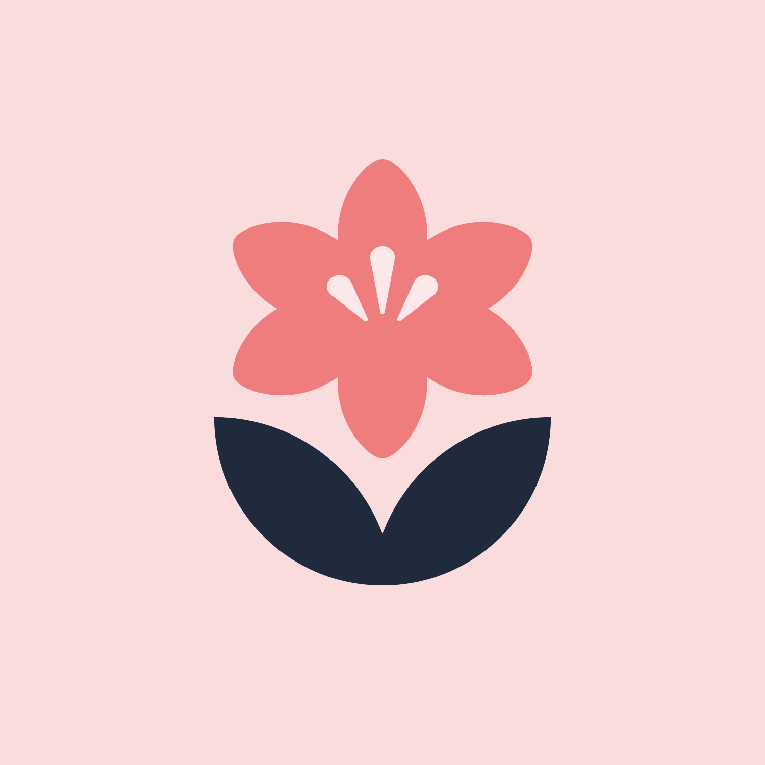 Coral and navy Gilly's Lilies flower symbol on a blush background