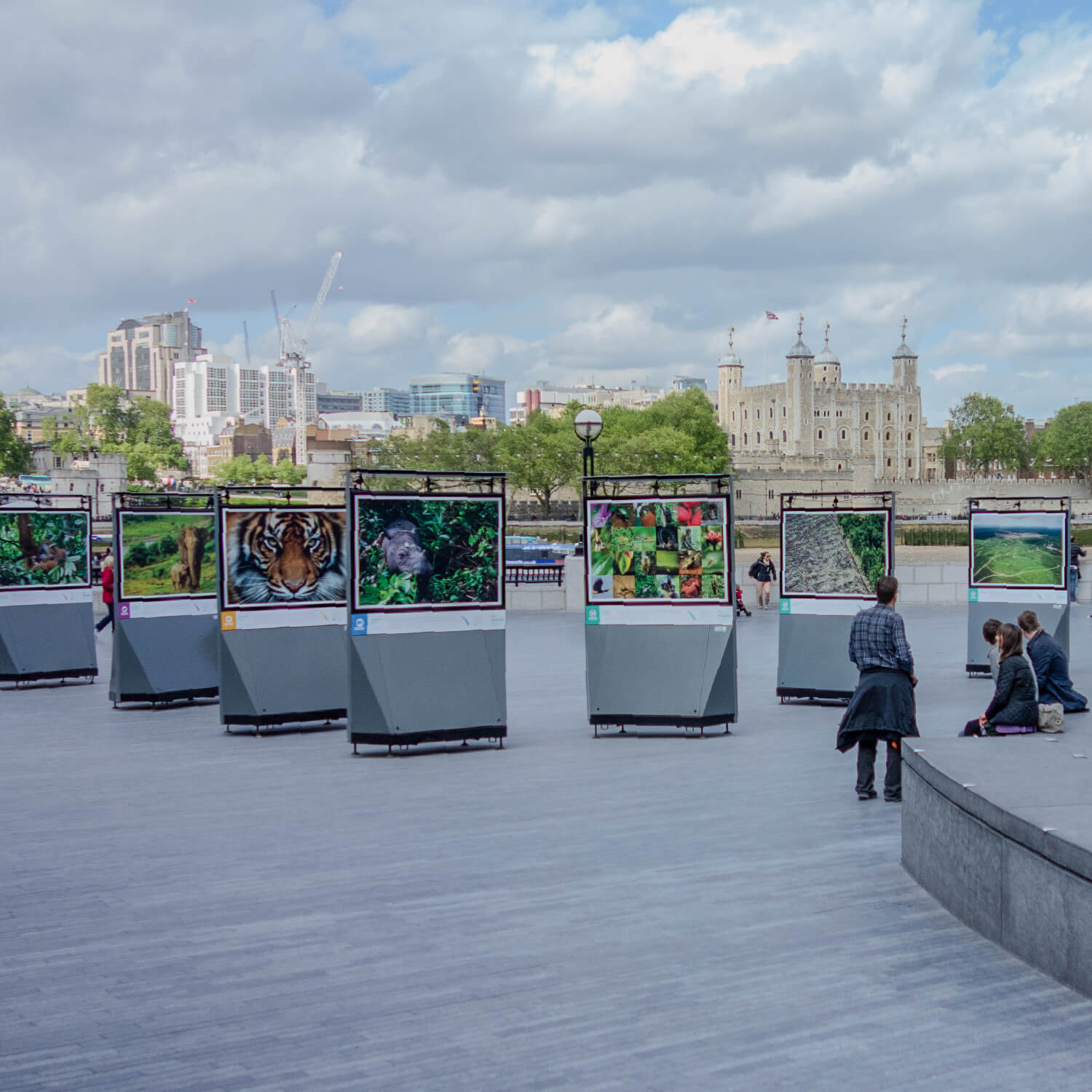 Spotlight Sumatra outdoor photography exhibition by Tower Bridge in London