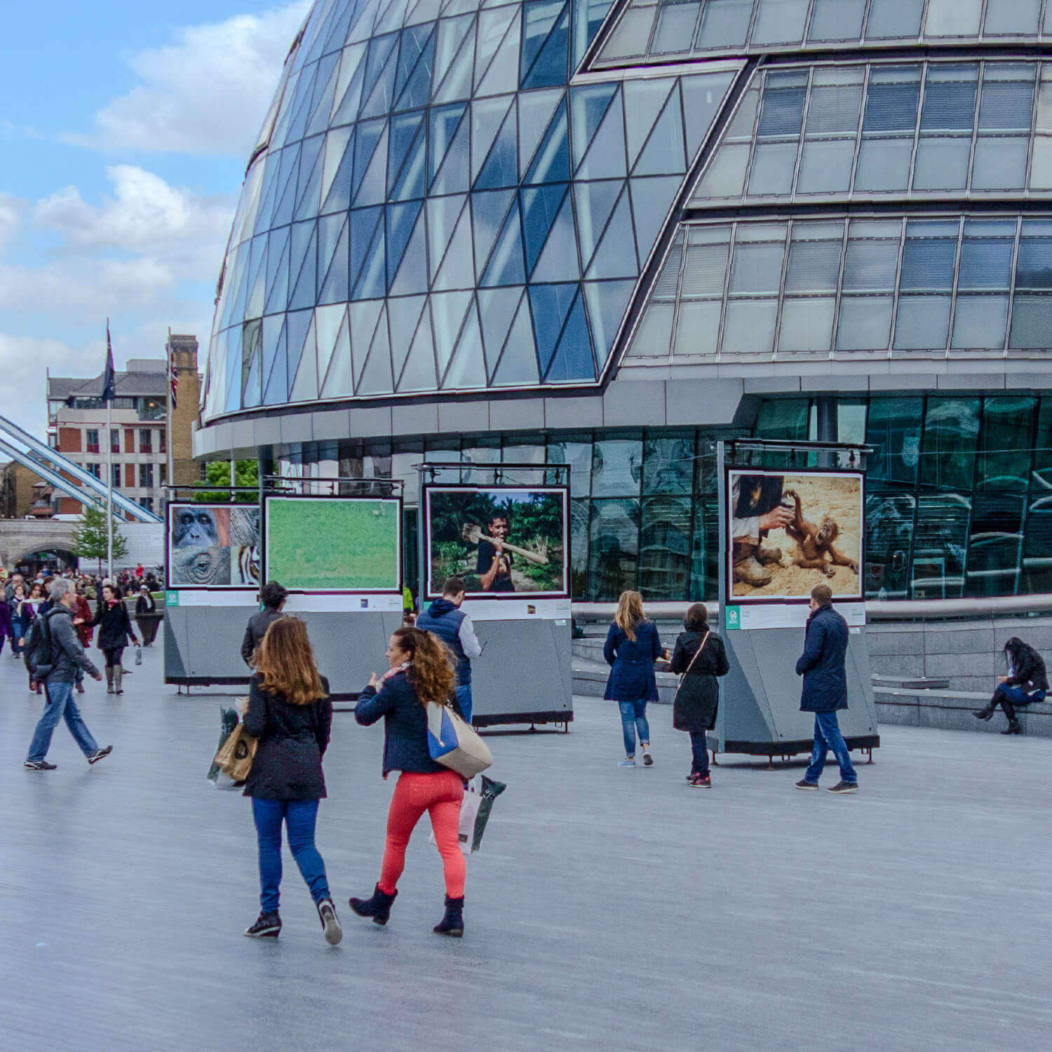 Spotlight Sumatra outdoor photography exhibition by Tower Bridge in London
